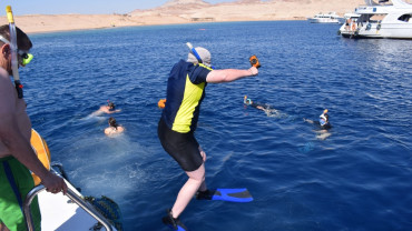 Half-day Snorkeling Boat trip with lunch and drinks from Sharm El Sheikh