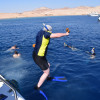 Half-day Snorkeling Boat trip with lunch and drinks from Sharm El Sheikh
