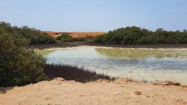 Jeep safari adventure at Nabq National Park with  camel ride and dinner
