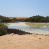 Jeep safari adventure at Nabq National Park with  camel ride and dinner